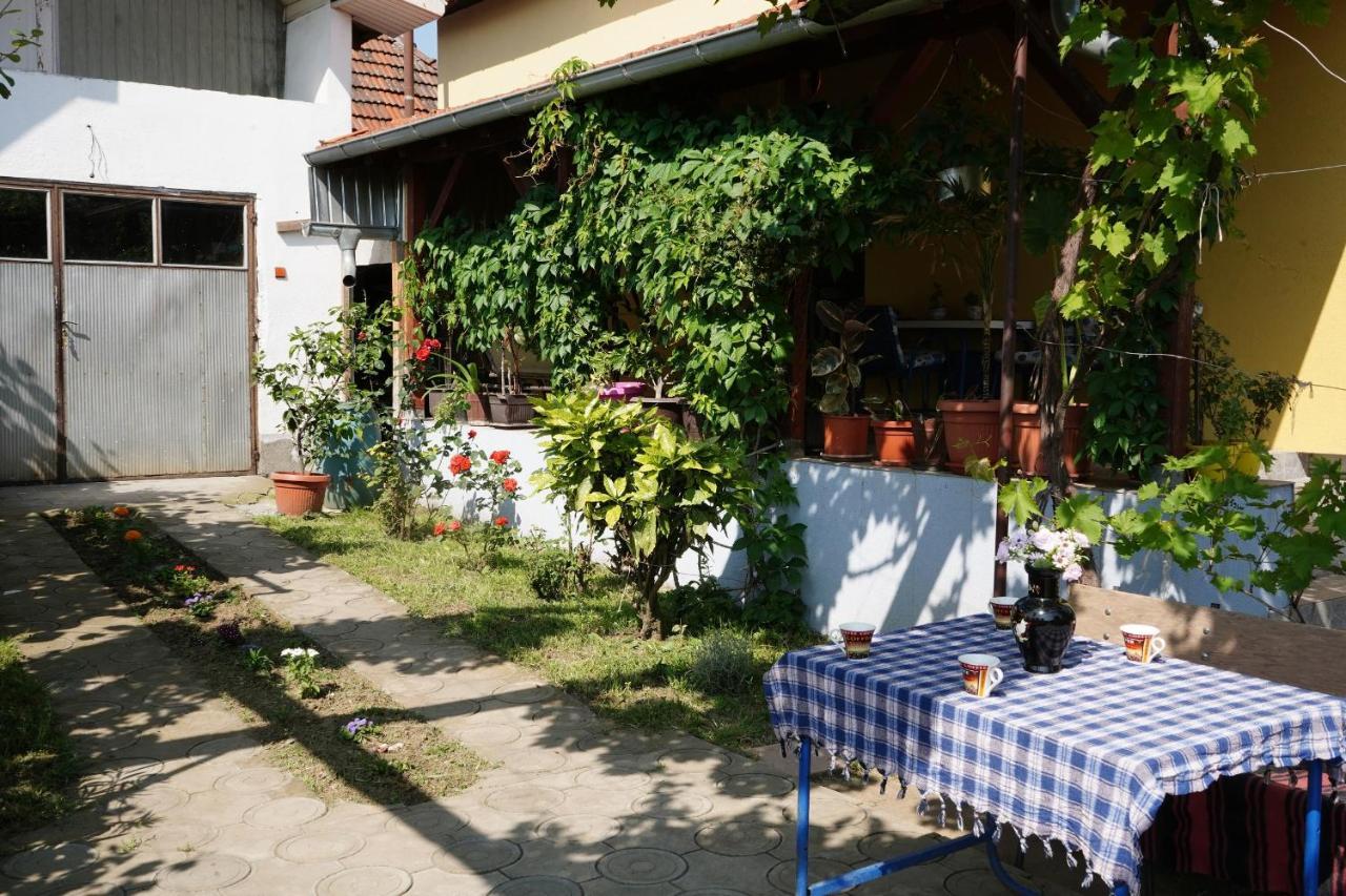 Etnobubi Apartment Novi Sip Ngoại thất bức ảnh
