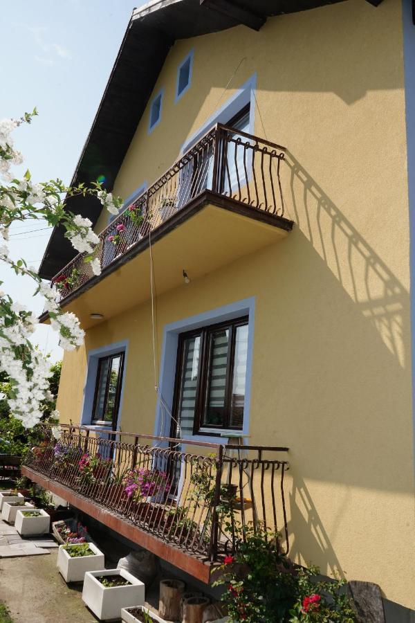 Etnobubi Apartment Novi Sip Ngoại thất bức ảnh