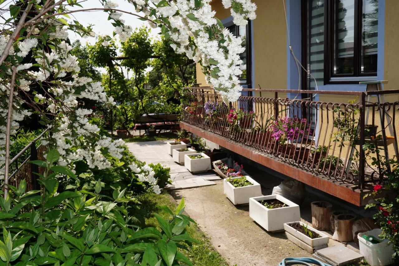 Etnobubi Apartment Novi Sip Ngoại thất bức ảnh